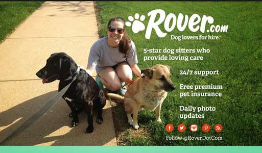 rover.com petsitters