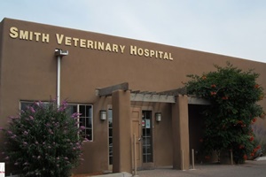 smith veterinary hospital